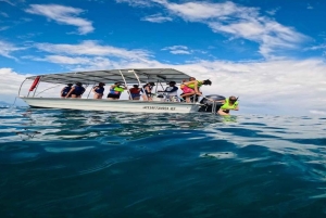 Cayo Arena & Mangroves Tour with Snorkeling & Food