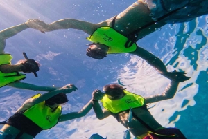 Cayo Arena & Mangroves Tour with Snorkeling & Food