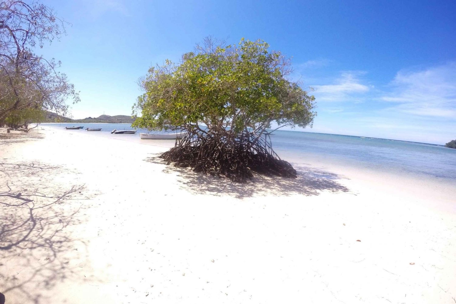 Paradise Island, Dominican Republic. - Cabarete