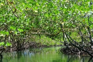 Cayo Arena: Paradise Island and Mangroves Tour