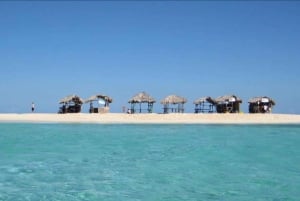 Cayo Arena: Paradise Island & Magroves Tour Private