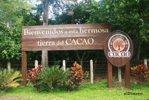 Circuit du cacao et fabrication du chocolat depuis Saint-Domingue