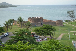 Combo: Tour Damajagua y Buggy en la ciudad de Puerto Plata