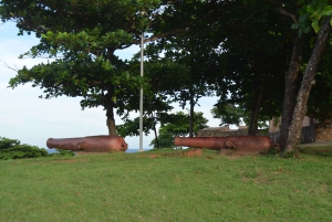 Combo: Tour Damajagua y Buggy en la ciudad de Puerto Plata