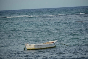 Combo: Tour Damajagua y Buggy en la ciudad de Puerto Plata
