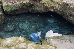 Conheça a história de Bayahibe e tome banho em 7 nascentes