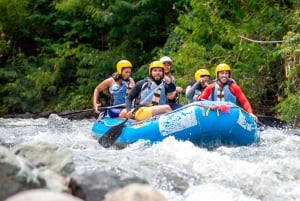 Constanza: Yaque del Norte River Rafting with Lunch
