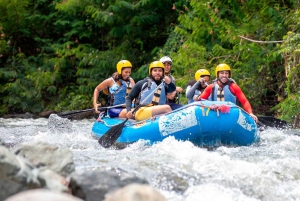 コンスタンツァ：ヤケ・デル・ノルテ川でラフティング（ランチ付き）