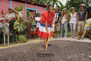 Tour de medio día cultural en Higuey desde Punta Cana