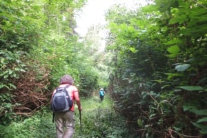 Damajagua: 27 Waterfalls Tour with Entrance Fee & Lunch