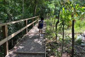 Damajagua Waterfalls Private Tour with Lunch