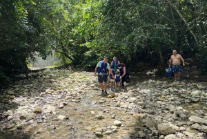 Damajagua Waterfalls Private Tour with Lunch
