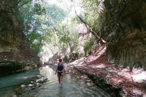 Damajagua: Waterfalls with Lunch Buffet
