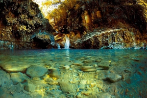 Cascadas de Damajagua