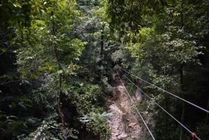 Puerto Plata/Amber Cove: Zipline and Waterfalls with Lunch