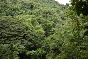 Puerto Plata/Amber Cove: Zipline and Waterfalls with Lunch