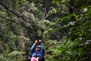 Puerto Plata/Amber Cove: Zipline and Waterfalls with Lunch