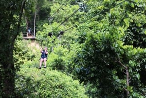 Puerto Plata/Amber Cove: Zipline and Waterfalls with Lunch