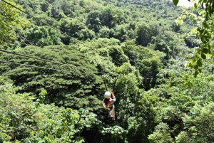 Puerto Plata/Amber Cove: Zipline and Waterfalls with Lunch