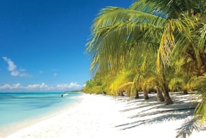 Day trip to Saona Island from Punta Cana with lunch and more