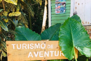 Diepe grotten in Cabarete met rondleiding en zwemmen