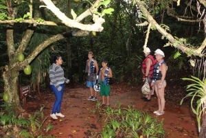 Diepe grotten in Cabarete met rondleiding en zwemmen
