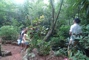 Diepe grotten in Cabarete met rondleiding en zwemmen