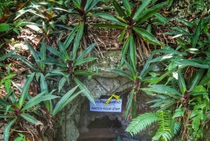 Diepe grotten in Cabarete met rondleiding en zwemmen