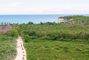 Punta Cana: Tour Eco-Amazing Buggy Extreme con servizio di prelievo in hotel