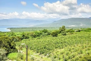 Entdecke Baní: Dünen, Salzwiesen und Ocoa Bay Winery Tour