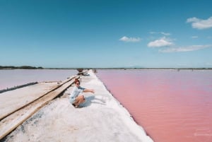 Scopri Baní: Tour delle dune, delle saline e della cantina della baia di Ocoa