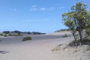 Découvrez Baní : Dunes, salines et vignobles de la baie d'Ocoa