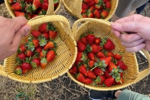 Descobre Constanza, a Suíça das Caraíbas