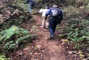 Descobre Constanza, a Suíça das Caraíbas