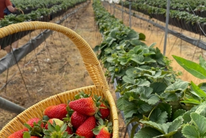 Descobre Constanza, a Suíça das Caraíbas