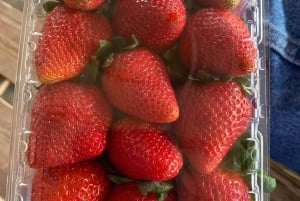 Descobre Constanza, a Suíça das Caraíbas