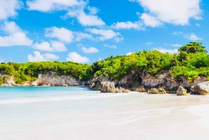 Punta Cana: Excursão à Ilha Saona com almoço e relaxamento numa bela piscina natural