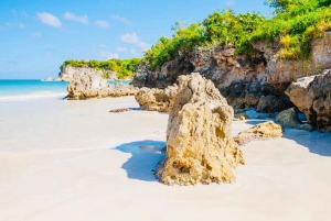 Punta Cana: Saona Island Tour mit Mittagessen und Entspannung im wunderschönen Naturpool