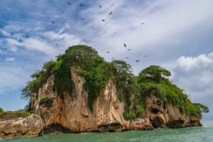 Scopri il Parco Nazionale di Los Haitises con un pranzo delizioso