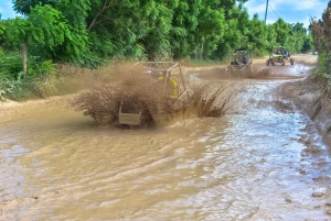 Scopri Punta Cana: Tour in buggy, Spiaggia El Macao, Cenote Blu