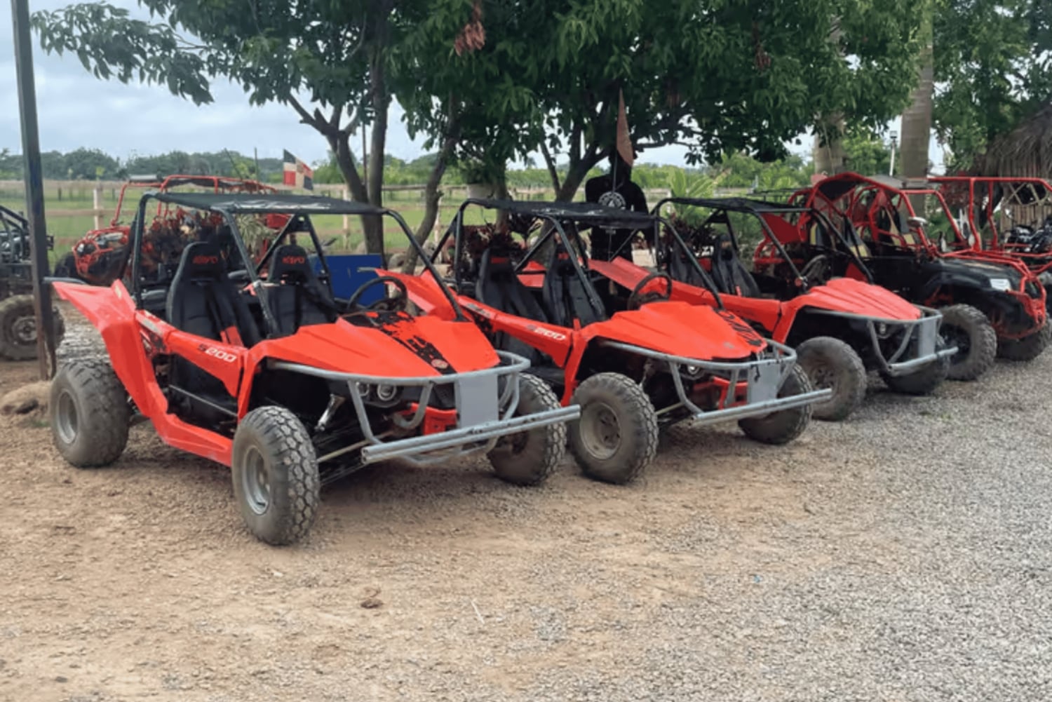 Discover Punta Cana Tour Buggy & ATV Tour Macao Beach Cenote