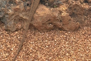 Discover Santo Domingo: A Day Trip from Punta Cana