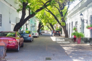 Discover Santo Domingo: A Day Trip from Punta Cana