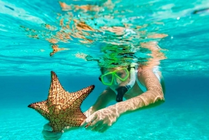 Ontdek het eiland Saona: Geniet van het paradijs