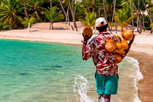 Descubra a Ilha Saona: Aproveite o paraíso