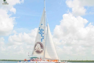 Oplev Saona Island: Nyd paradiset