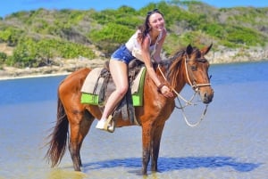 Oppdag stiene i Punta Cana på en ridetur