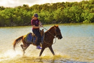 Descobre os trilhos de Punta Cana num passeio a cavalo