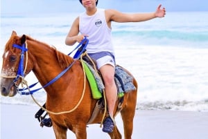 Discover the Trails of Punta Cana on a Horseback Ride