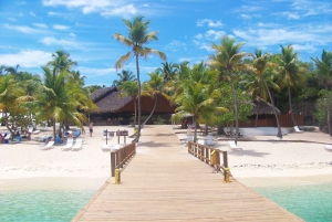 Dive Boat Tour on Catalina Bayahibe Island